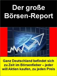R. Temaro - Der große Börsen-Report = Börsen-Ratgeber für Einsteiger
