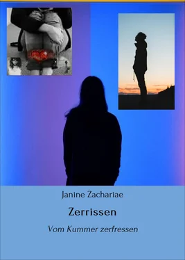 Janine Zachariae Zerrissen обложка книги