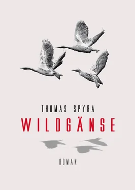 Thomas Spyra Wildgänse обложка книги