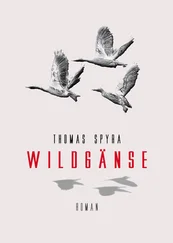 Thomas Spyra - Wildgänse
