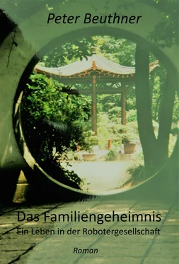 Peter Beuthner Das Familiengeheimnis обложка книги