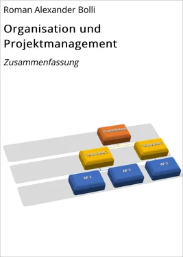 Roman Alexander Bolli Organisation und Projektmanagement обложка книги