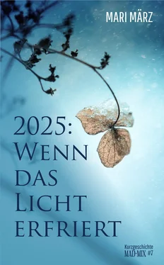 Mari März 2025: Wenn das Licht erfriert обложка книги