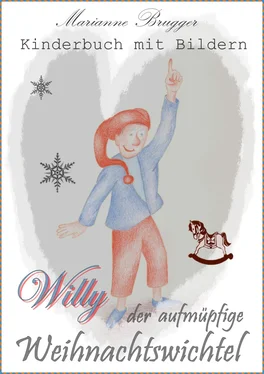 Marianne Brugger Willy, der aufmüpfige Weihnachtswichtel обложка книги