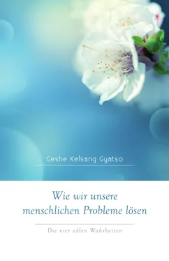 Geshe Kelsang Gyatso Wie wir unsere menschlichen Probleme lösen обложка книги