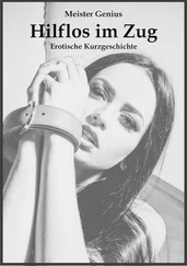 Meister Genius - Hilflos im Zug