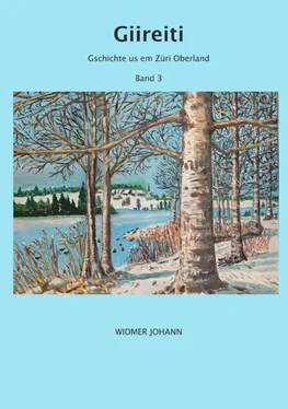 Johann Widmer Giireiti обложка книги