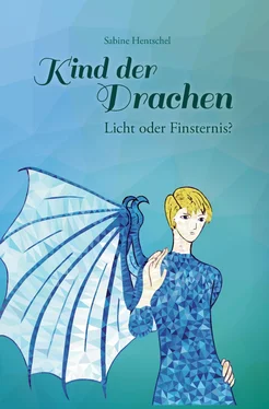 Sabine Hentschel Kind der Drachen – Licht oder Finsternis? обложка книги