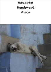 Heinz Schöpf - Hundswand