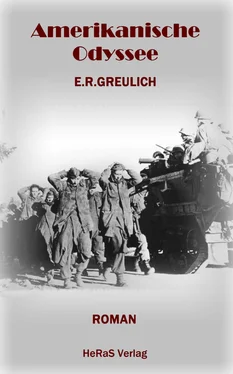 E.R. Greulich Amerikanische Odyssee обложка книги