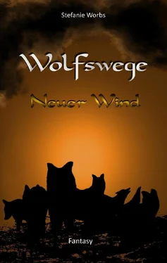 Stefanie Worbs Wolfswege 2 обложка книги
