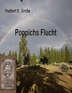Herbert E. Große Poppichs Flucht обложка книги
