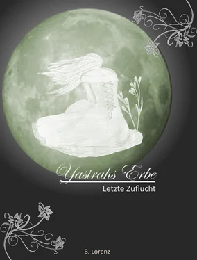 Bettina Lorenz Yasirahs Erbe - Letzte Zuflucht обложка книги
