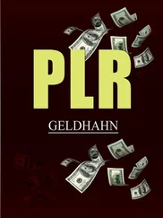 Michaela Kaniber - PLR Geldhahn