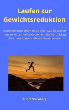 André Sternberg Laufen zur Gewichtsreduktion обложка книги