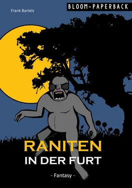 Frank Bartels Raniten in der Furt обложка книги