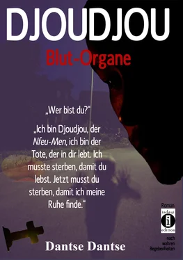 Dantse Dantse DJOUDJOU - Blut-Organe обложка книги