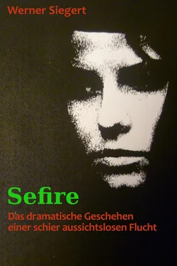 Werner Siegert Sefire обложка книги