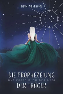 Fanni Mehlhorn Die Prophezeiung der Träger - Das erste Buch der Magi обложка книги