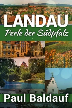 Paul Baldauf LANDAU Perle der Südpfalz обложка книги