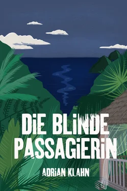 Adrian Klahn Die blinde Passagierin обложка книги