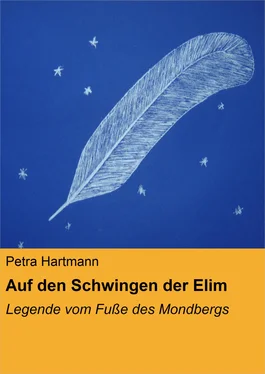 Petra Hartmann Auf den Schwingen der Elim обложка книги
