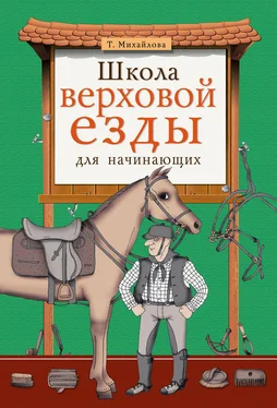 Татьяна Михайлова Школа верховой езды для начинающих