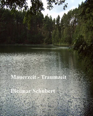 Dietmar Schubert Mauerzeit - Traumzeit обложка книги