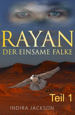 Indira Jackson Rayan - Der Einsame Falke обложка книги