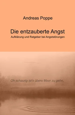Andreas Poppe Die entzauberte Angst обложка книги