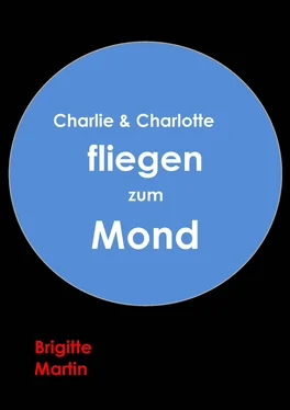 Brigitte Martin Charlie & Charlotte fliegen zum Mond - Ein wahres Storchenabenteuer