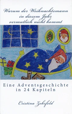 Cristina Zehrfeld Warum der Weihnachtsmann in diesem Jahr vermutlich nicht kommt обложка книги