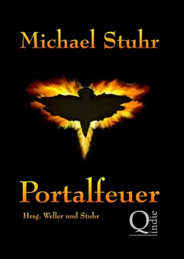 Michael Stuhr PORTALFEUER обложка книги