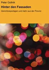 Peter Gollnik - Hinter den Fassaden