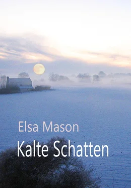 Elsa Mason Kalte Schatten обложка книги