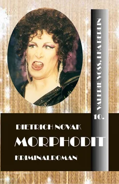 Dietrich Novak Morphodit обложка книги
