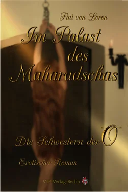 Fini von Loren Im Palast des Maharadschas обложка книги