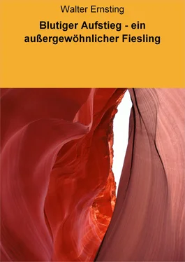 Walter Ernsting Blutiger Aufstieg - ein außergewöhnlicher Fiesling обложка книги