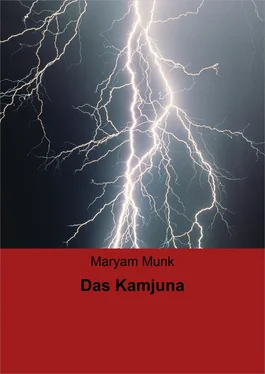 Maryam Munk Das Kamjuna обложка книги
