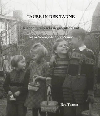 Eva Tanner Taube in der Tanne обложка книги