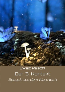 Ewald Peischl Der 3. Kontakt обложка книги