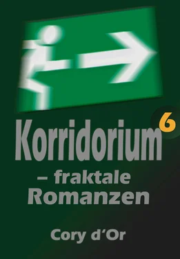 Cory d'Or Korridorium – fraktale Romanzen обложка книги