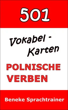 Beneke Sprachtrainer Vokabel-Karten Polnische Verben обложка книги