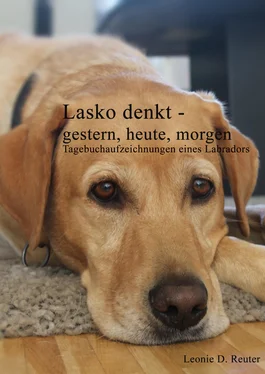 Leonie Reuter Lasko denkt -gestern, heute, morgen обложка книги