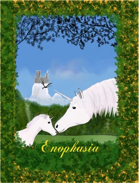 Olaf Sandkämper Enophasia обложка книги
