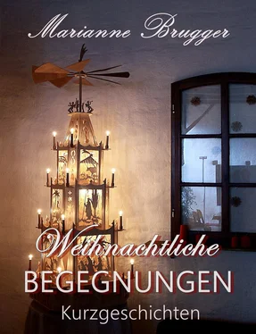 Marianne Brugger Weihnachtliche Begegnungen обложка книги