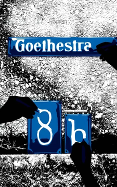 Andreas Eichenseher Goethestraße 8b обложка книги