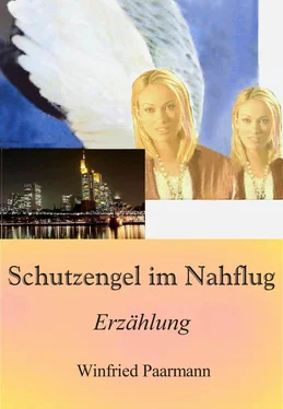 Winfried Paarmann Schutzengel im Nahflug обложка книги