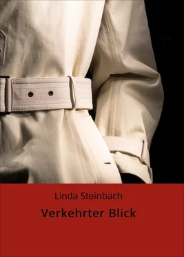 Linda Steinbach Verkehrter Blick обложка книги