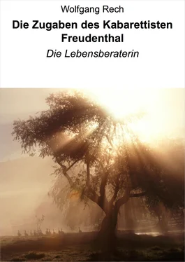 Wolfgang Rech Die Zugaben des Kabarettisten Freudenthal обложка книги
